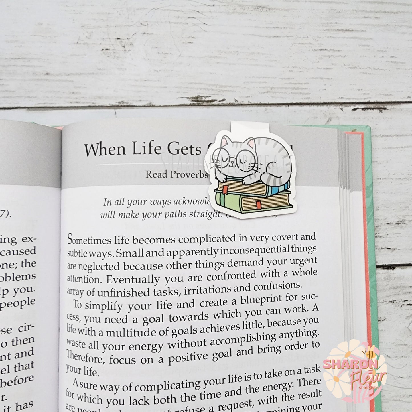 Cat Sleeping on Books Magnetic Bookmark